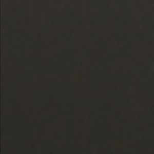 Meet your Posher, Ally